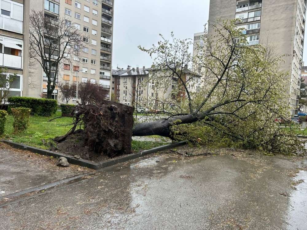 WhatsApp_Image_2026_03_27_at_07_.12 (1).jpeg